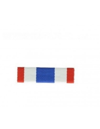 Barrette Dixmude Protection Militaire du Territoire